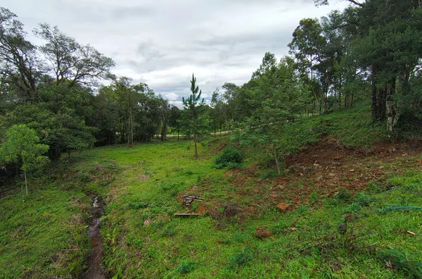 SITIO - COXIA RICA - URUSSANGA