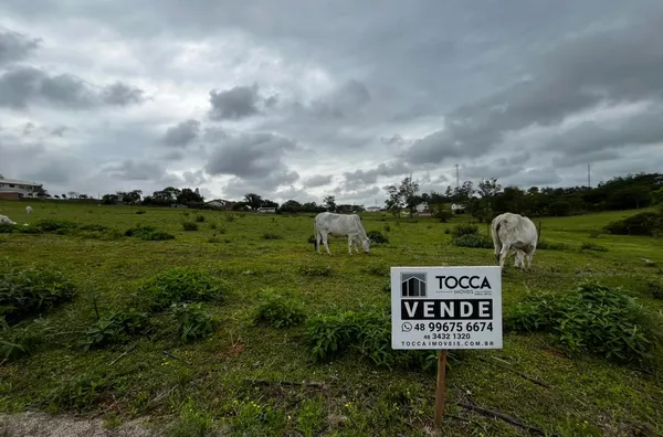 TERRENO - SEGUNDA LINHA - IÇARA