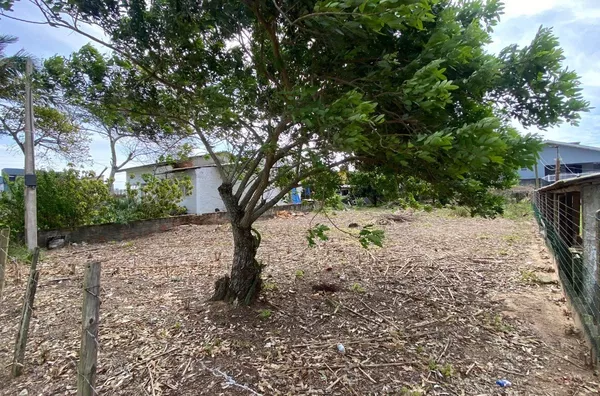 TERRENO PARA VENDA - LAGOA DOS FREITAS - BALNEÁRIO RINCÃO