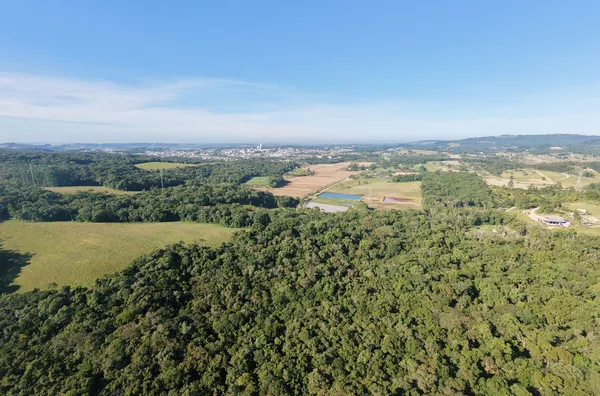 TERRENO - COCAL DO SUL - RIO GALO