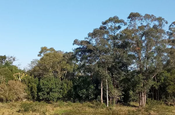 TERRENO - NOVO CARAVAGIO - IÇARA