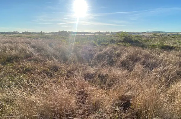 TERRENO - ZONA SUL, BALNEÁRIO RINCÃO