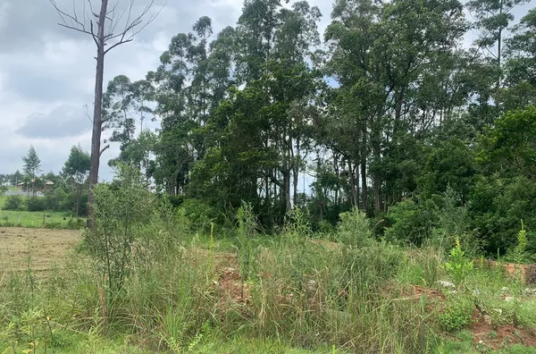 TERRENO - SEGUNDA LINHA, IÇARA
