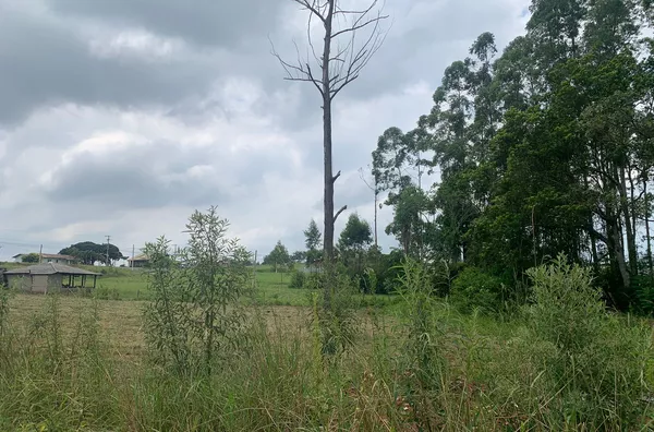 TERRENO - SEGUNDA LINHA, IÇARA