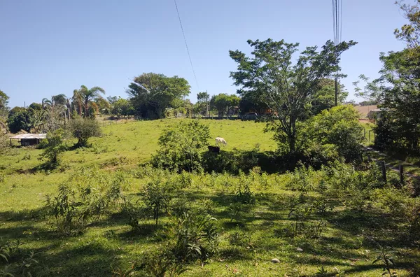 TERRENO - LOMBAS PEDREIRAS, IÇARA
