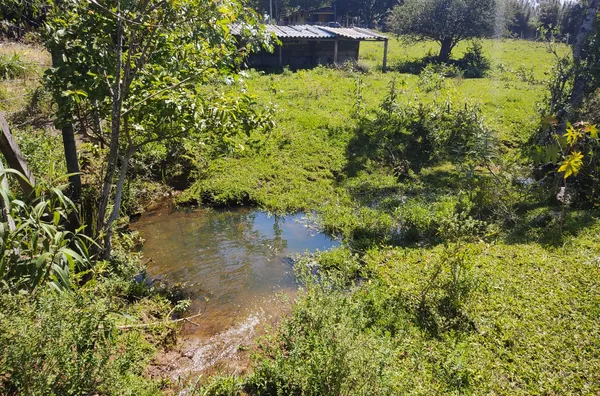 TERRENO - LOMBAS PEDREIRAS, IÇARA