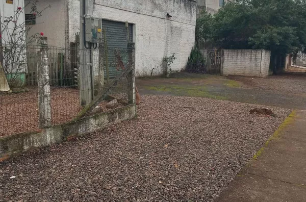 CASA MISTA, SÃO DEFENDE-CRICIÚMA