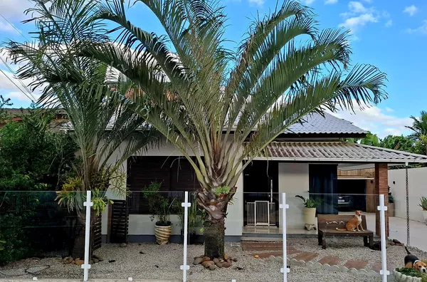 CASA - JAQUELINE, IÇARA
