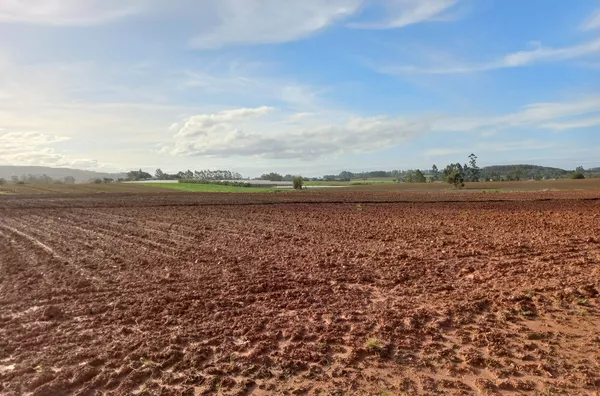 TERRENO-PONTA DO MATO, IÇARA