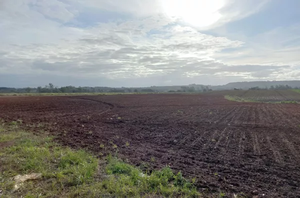 TERRENO-PONTA DO MATO, IÇARA