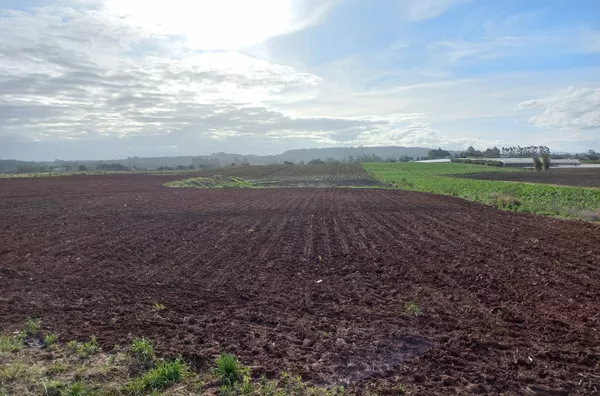 TERRENO-PONTA DO MATO, IÇARA