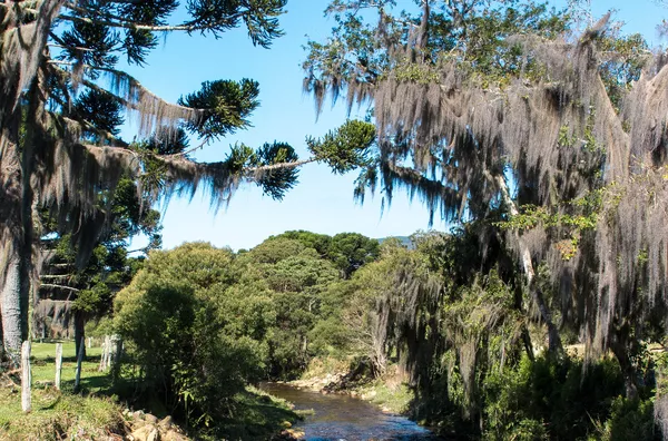 COND. COSTA DA SERRA - INVERNADINHA, RANCHO QUEIMADO