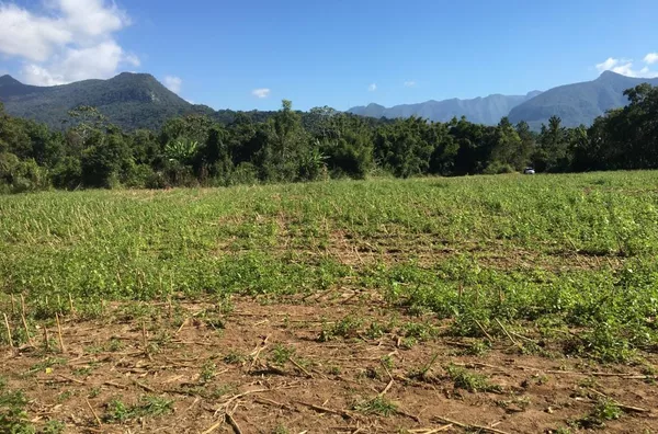 TERRENO RURAL - VILA SÃO PEDRO, SIDERÓPOLIS