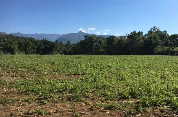 TERRENO RURAL - VILA SÃO PEDRO, SIDERÓPOLIS