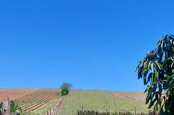 SITIO, COQUEIROS-IÇARA