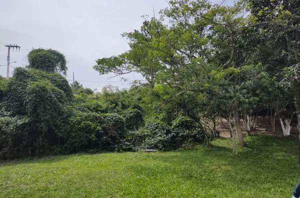 TERRENO - LAGOA DOS ESTEVES, BALNEÁRIO RINCÃO