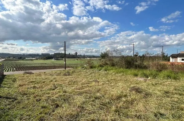 TERRENO - TEREZA CRISTINA - IÇARA