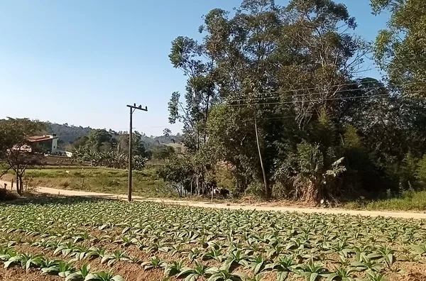 TERRENO - NOVO CARAVAGIO - IÇARA