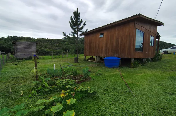 SITIO - COXIA RICA - URUSSANGA