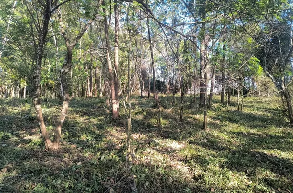 TERRENOS - SÃO SIMÃO, CRICIÚMA