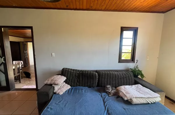 SÍTIO PARA VENDA - LOMBAS - IÇARA - Foto 15