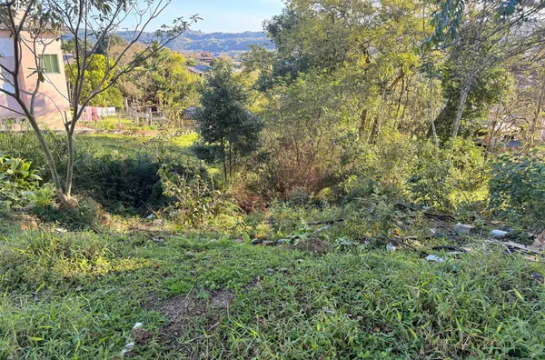 TERRENO - METROPOL, CRICIUMA