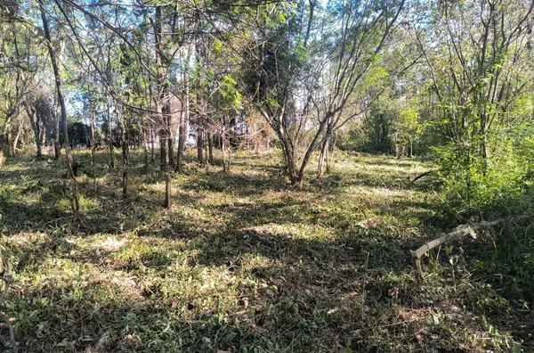 TERRENOS - SÃO SIMÃO, CRICIÚMA