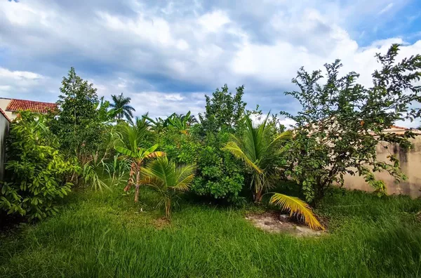 Terreno para venda,  Loteamento Estância Mirante De Caraguatatuba, Caraguatatuba
