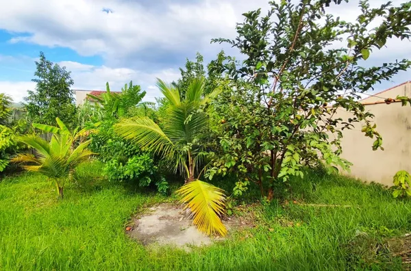 Terreno para venda,  Loteamento Estância Mirante De Caraguatatuba, Caraguatatuba