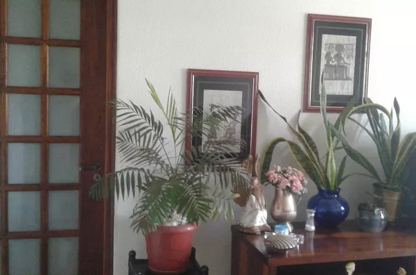 Apartamento á Venda Vila Mimosa Campinas SP.