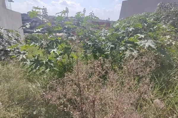 TERRENO VENDA JARDIM SÃO JUDAS TADEU CAMPINAS SP