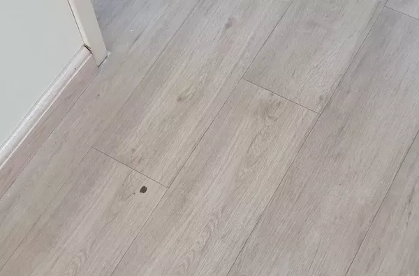Apartamento Venda Vila Mimosa Campinas SP. - Foto 55
