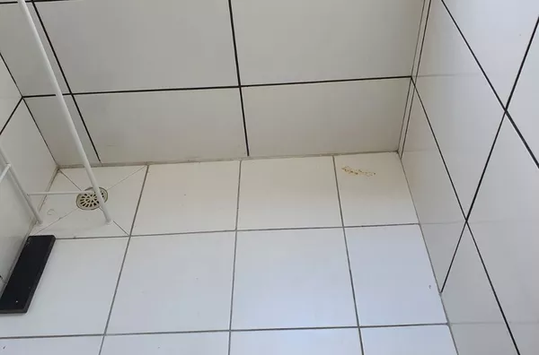 Apartamento Venda Vila Mimosa Campinas SP. - Foto 67