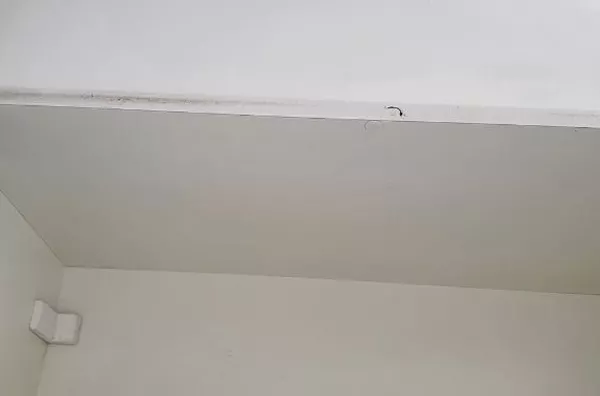 Apartamento Venda Vila Mimosa Campinas SP. - Foto 63
