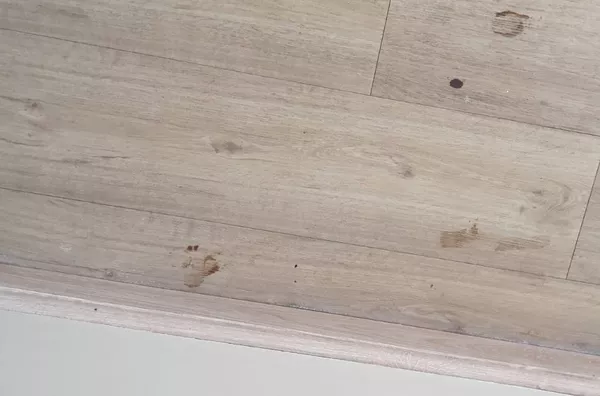 Apartamento Venda Vila Mimosa Campinas SP. - Foto 57