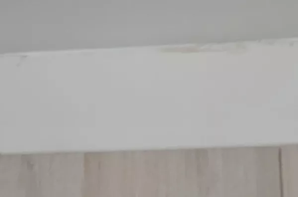 Apartamento Venda Vila Mimosa Campinas SP. - Foto 49