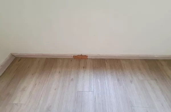 Apartamento Venda Vila Mimosa Campinas SP. - Foto 45