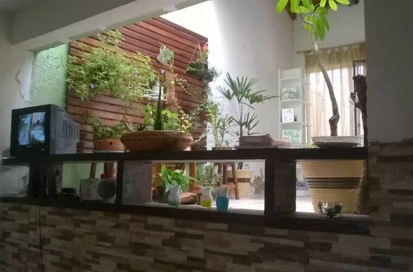 Jardim interno