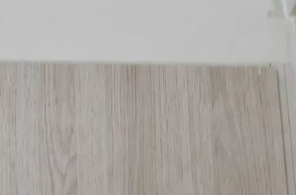 Apartamento Venda Vila Mimosa Campinas SP. - Foto 47