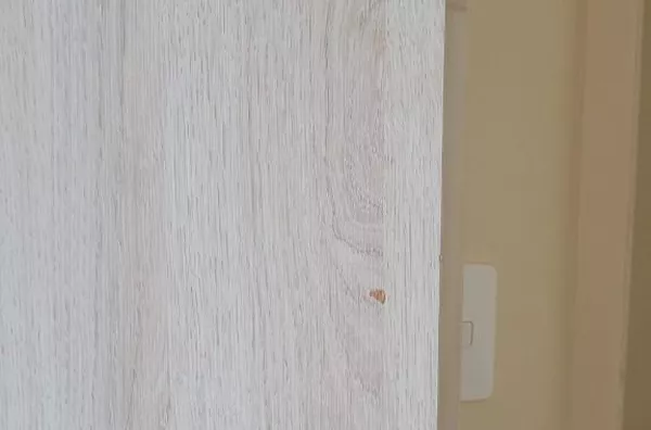 Apartamento Venda Vila Mimosa Campinas SP. - Foto 71