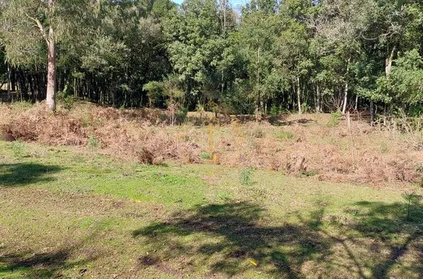 Área para Incorporação para venda Bela Vista CAXIAS DO SUL