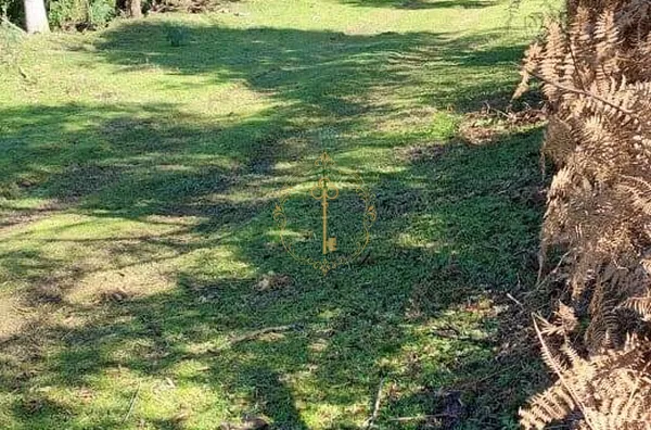 Área para Incorporação para venda Bela Vista CAXIAS DO SUL