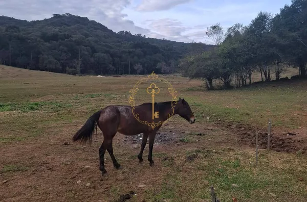 Chácara para venda CAXIAS DO SUL