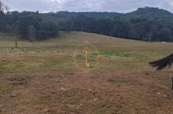 Chácara para venda CAXIAS DO SUL
