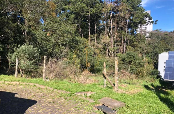 Área para venda Jardelino Ramos CAXIAS DO SUL