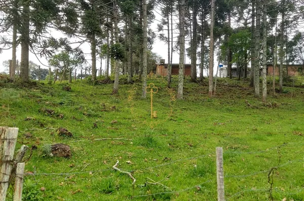 SANTA LUCIA DO PIAÍ - CHÁRACA PARA VENDA