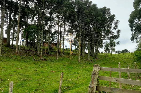 SANTA LUCIA DO PIAÍ - CHÁRACA PARA VENDA