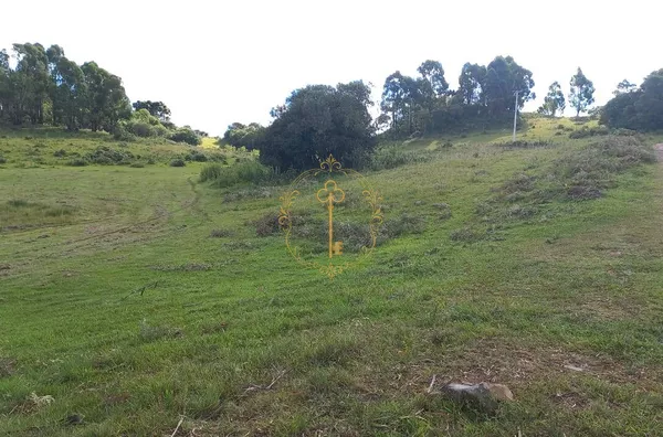 CRIUVA - ÁREA DE TERRA