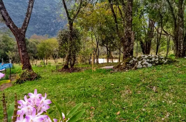 CHÁCARA PARA VENDA NO SANTA LÚCIA