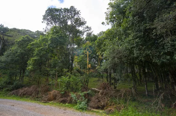 TERRENO PARA VENDA NO SERRANO
